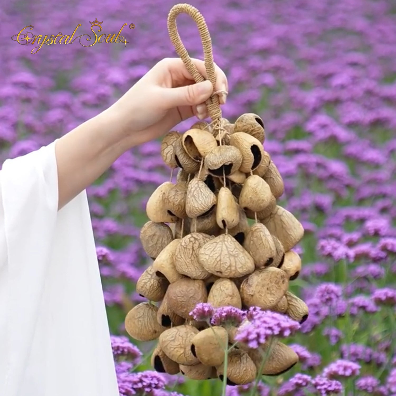 Crystal Soul Natural Seed Chime Pangium edule (Indonesian Black Nut)