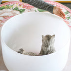 Crystal Soul Extra Large 22" White Frosted Crystal Bowl