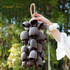 Crystal Soul Natural Seed Chime Handbell Salin