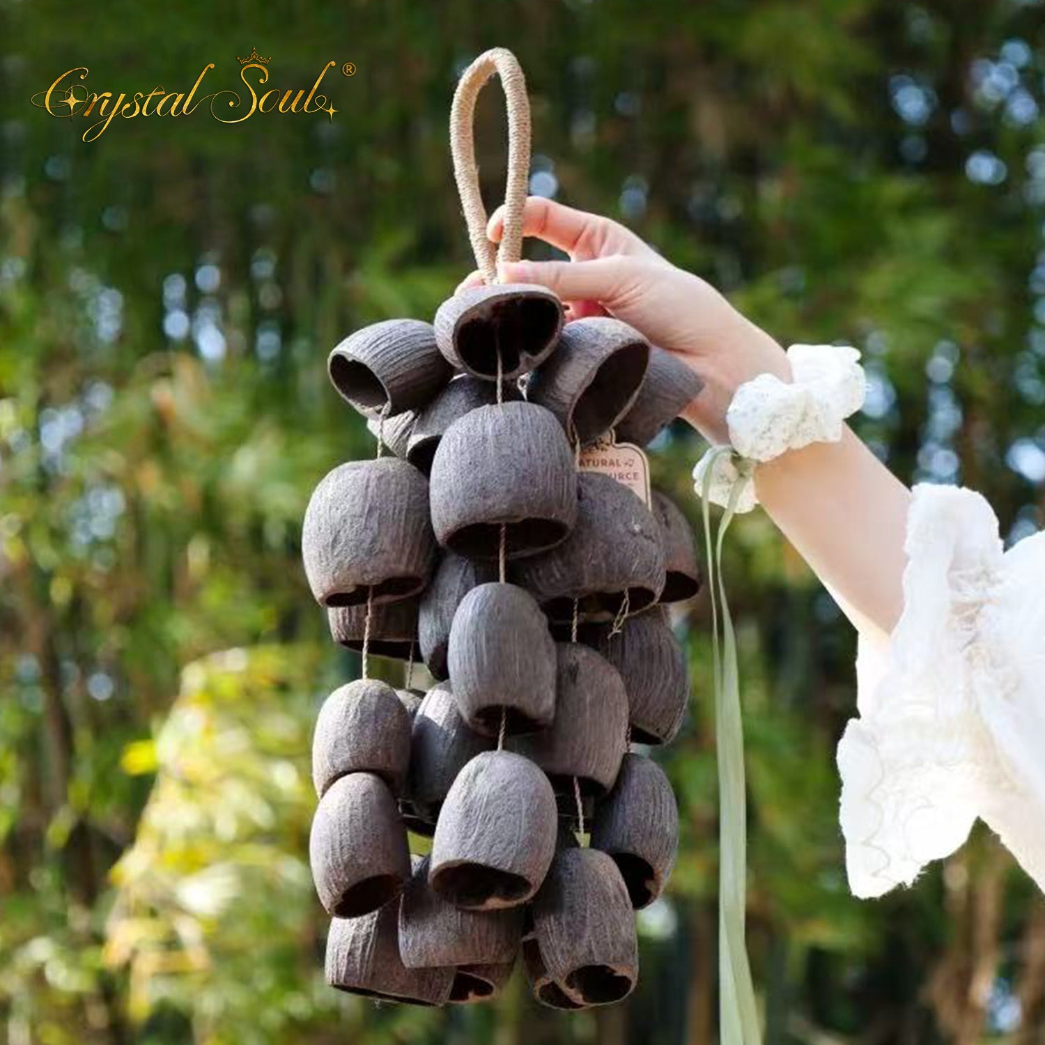 Crystal Soul Natural Seed Chime Handbell Salin
