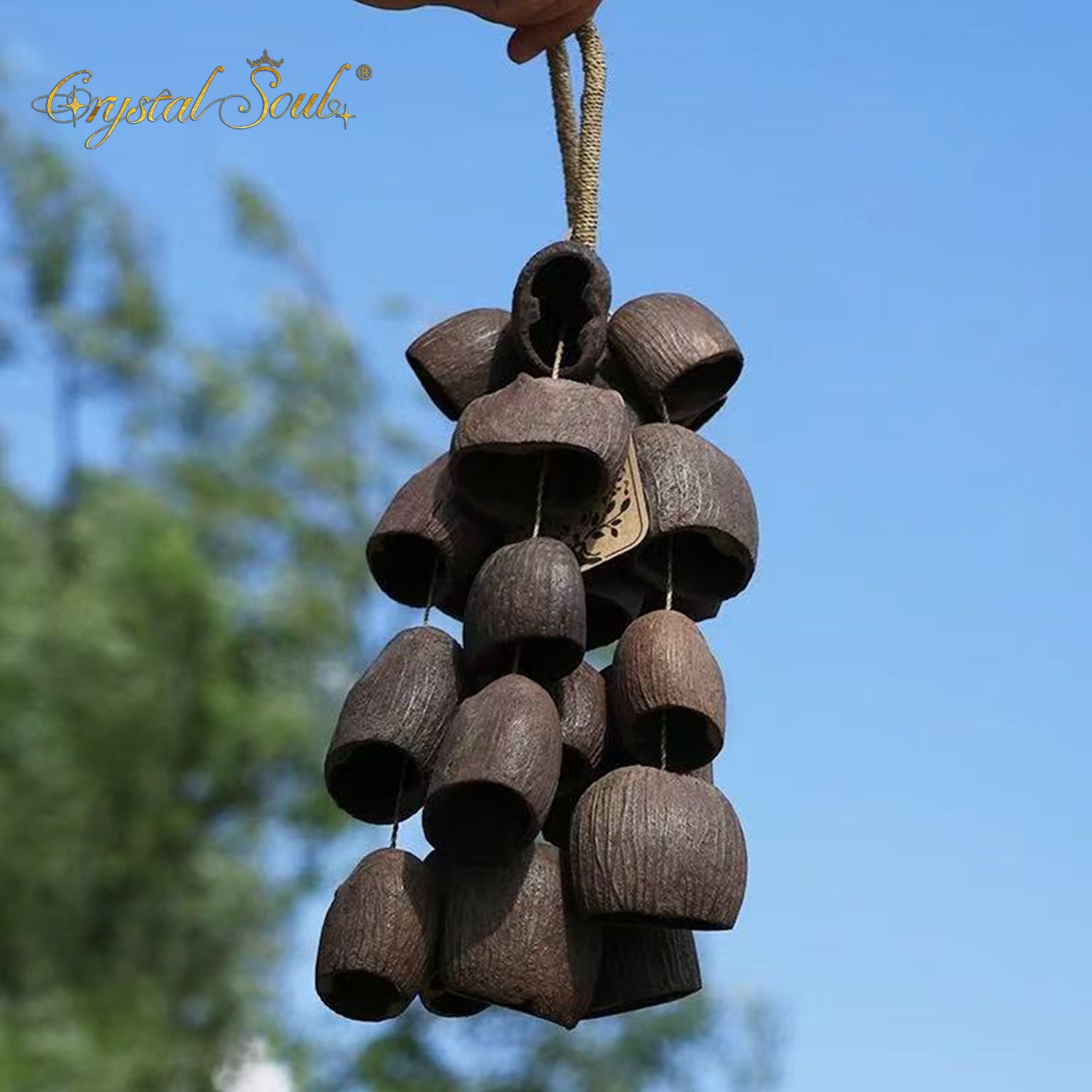 Crystal Soul Natural Seed Chime Handbell Salin