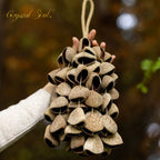 Crystal Soul Natural Seed Chime Pangium edule (Indonesian Black Nut)