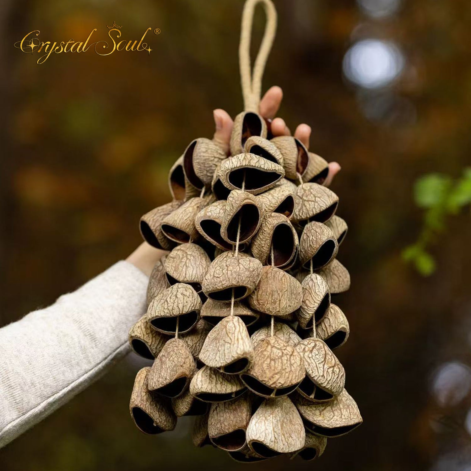 Crystal Soul Natural Seed Chime Pangium edule (Indonesian Black Nut)