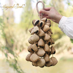 Crystal Soul Natural Seed Chime Pangium edule (Indonesian Black Nut)