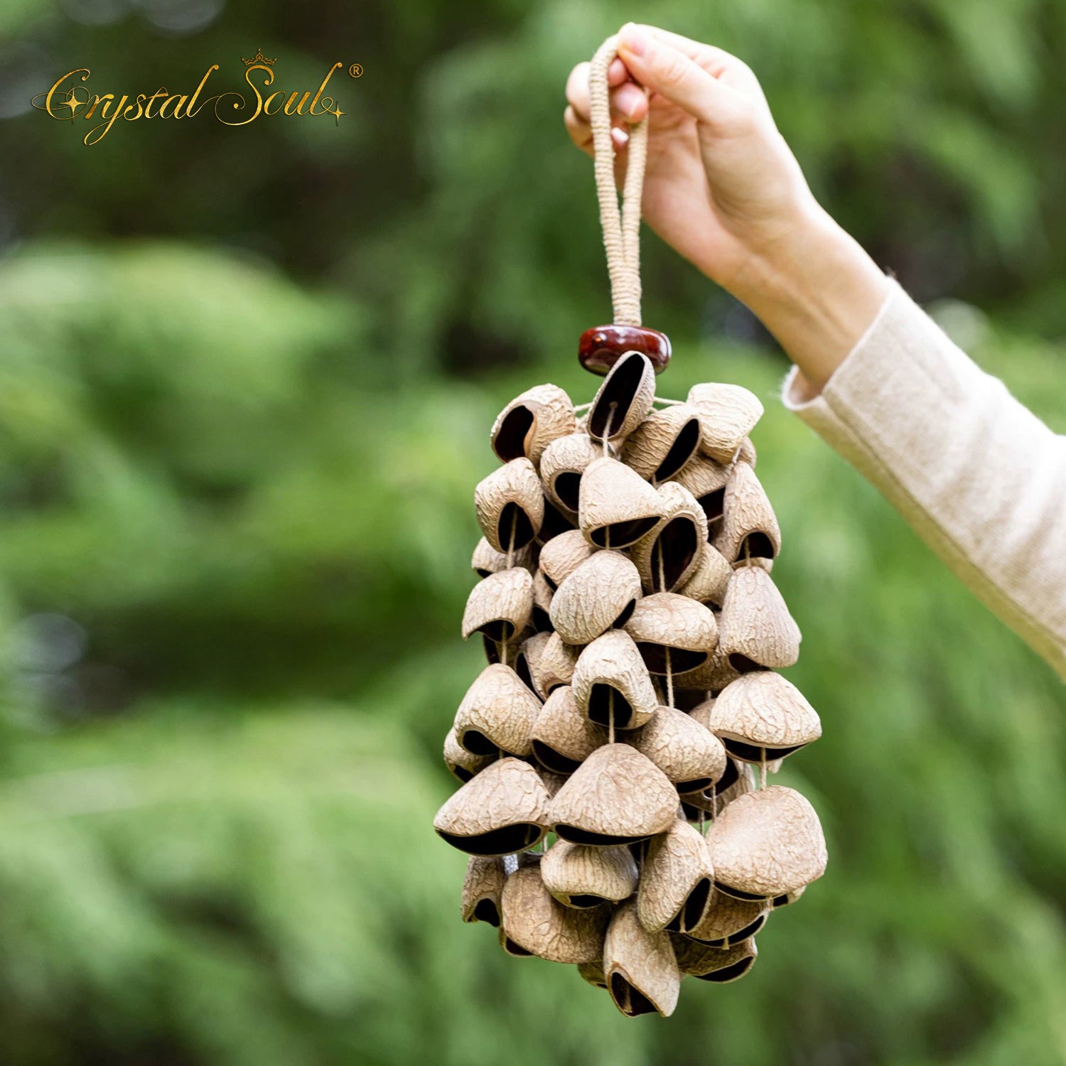 Crystal Soul Natural Seed Chime Pangium edule (Indonesian Black Nut)