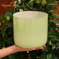 Crystal Soul Classic Fresh Lime Green Alchemy Crystal Bowl